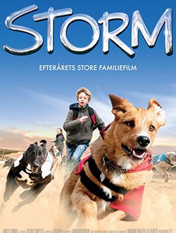 2009-storm